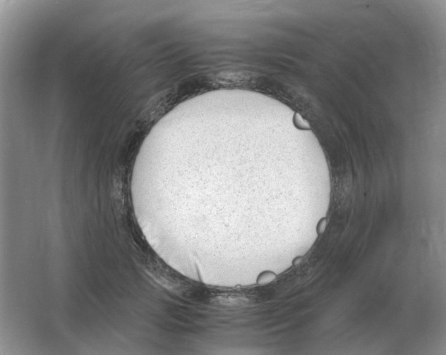 X0000063520749200602172214