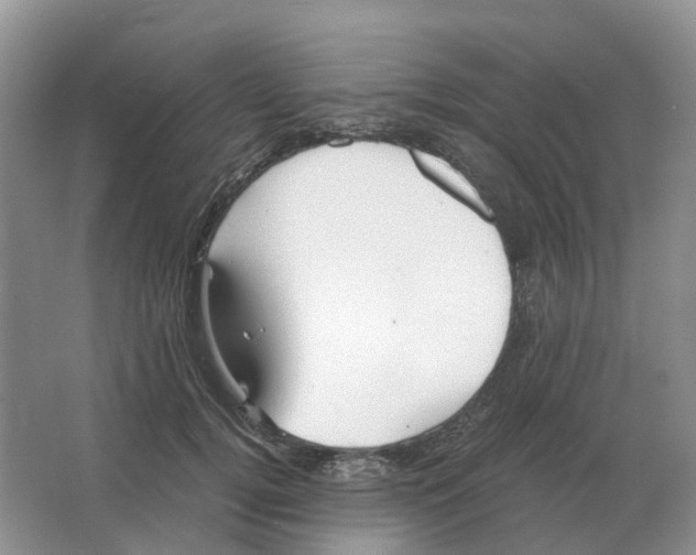 X0000063520752200602172214