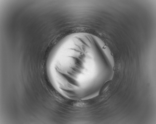 X0000063520759200602172214