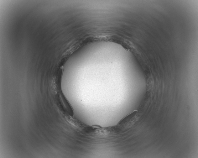 X0000063520764200602172214