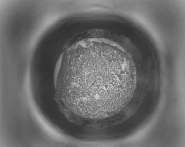 X0000063520765200602172214