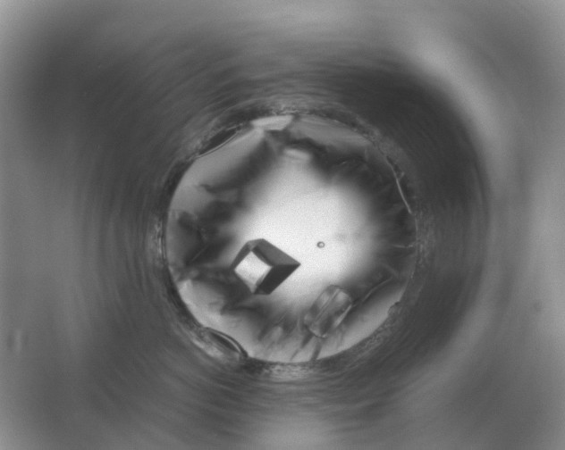 X0000063520766200602172214