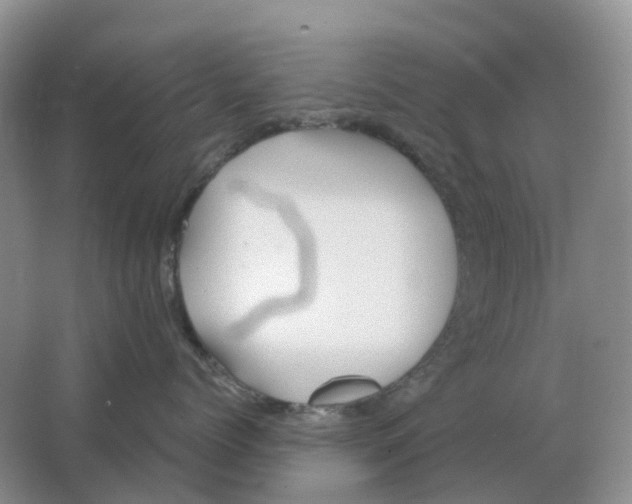 X0000063520768200602172214