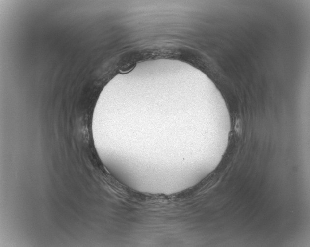 X0000063520771200602172213