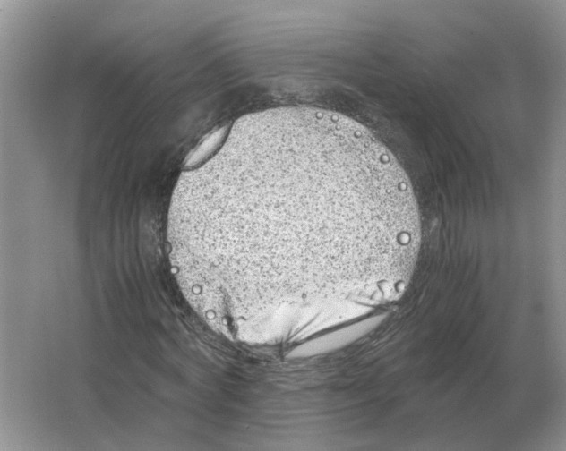 X0000063520772200602172213