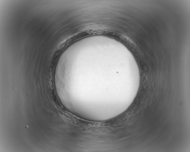 X0000063520775200602172213