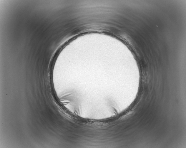 X0000063520779200602172213