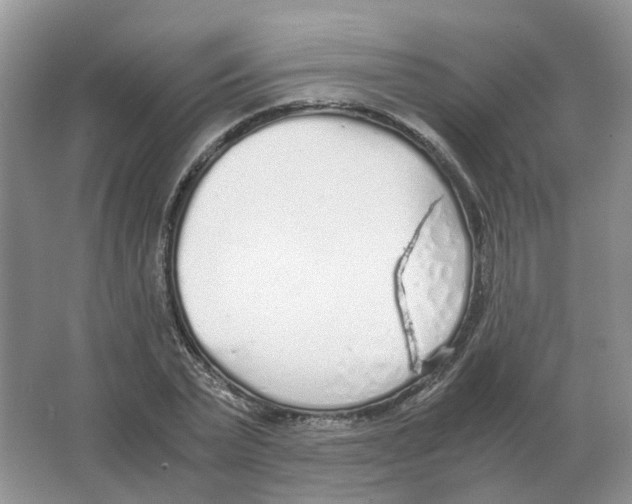 X0000063520783200602172213