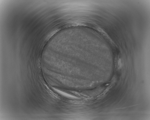 X0000063520785200602172213