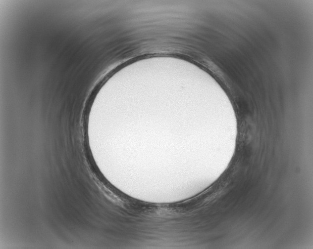 X0000063520787200602172213