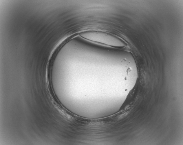 X0000063520788200602172213