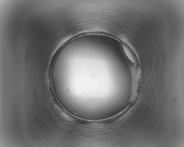 X0000063520789200602172213