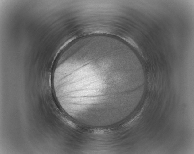 X0000063520790200602172213