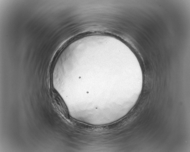 X0000063520791200602172213