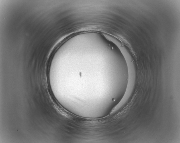 X0000063520792200602172213