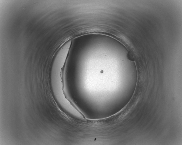 X0000063520793200602172213