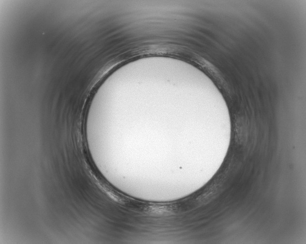 X0000063520794200602172213