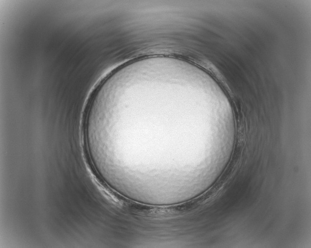 X0000063520795200602172213