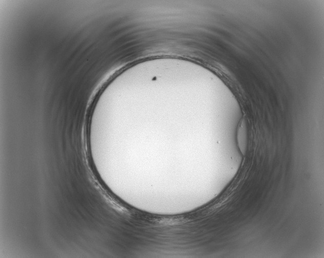 X0000063520796200602172213