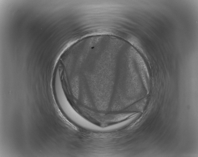 X0000063520797200602172213