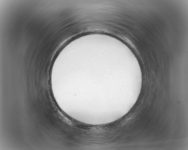 X0000063520799200602172213