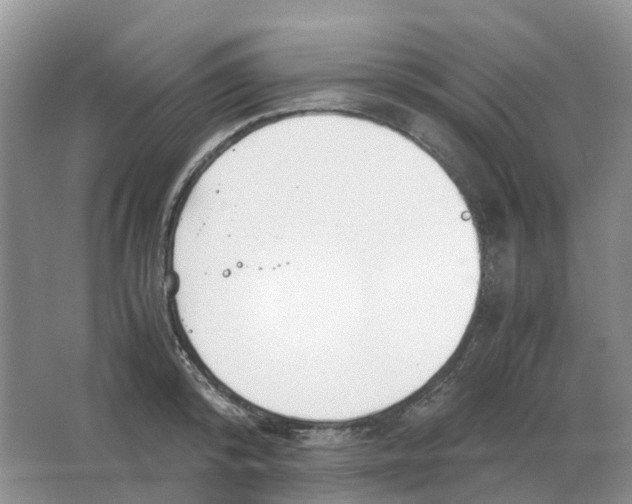 X0000063520800200602172213