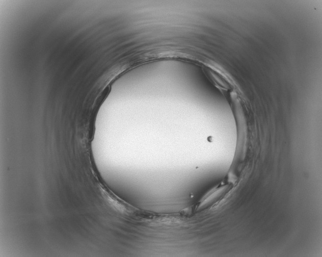 X0000063520801200602172213