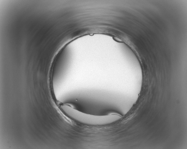 X0000063520803200602172213