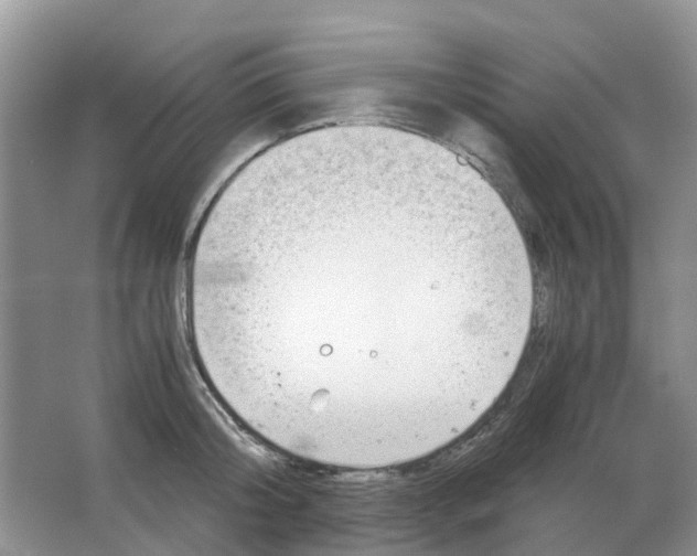 X0000063520804200602172213