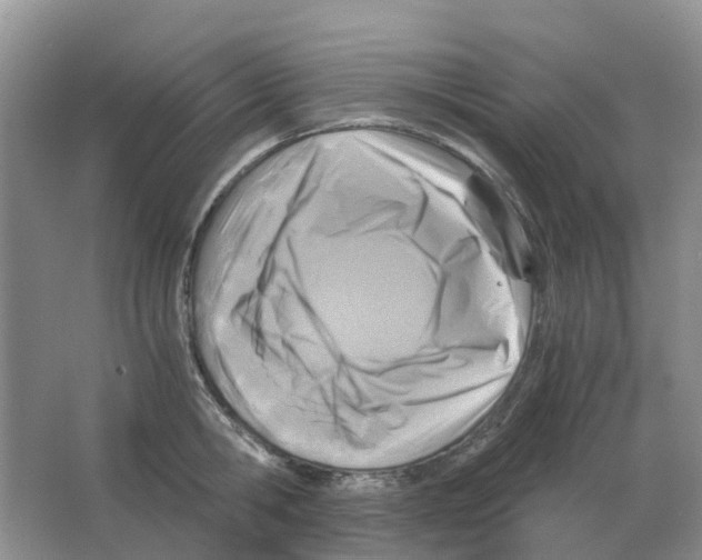 X0000063520806200602172213