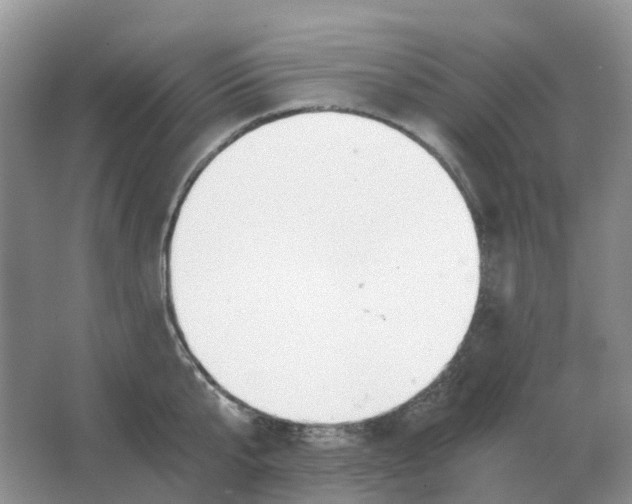 X0000063520807200602172213