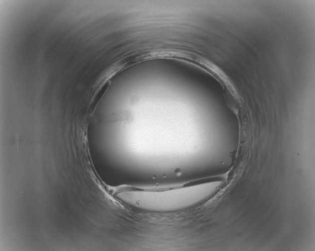 X0000063520809200602172213