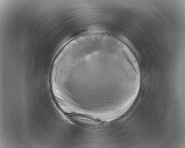 X0000063520810200602172213