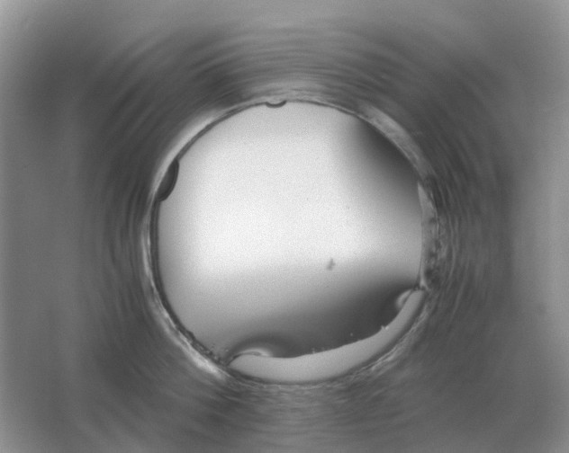 X0000063520812200602172213