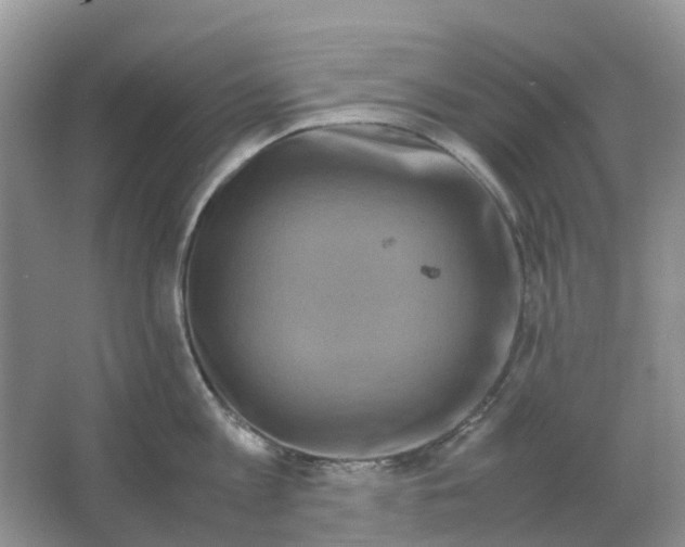 X0000063520813200602172212