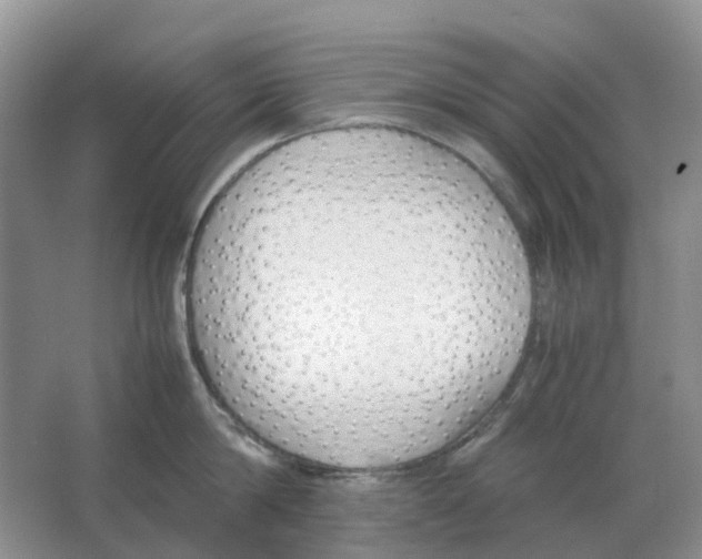 X0000063520814200602172212