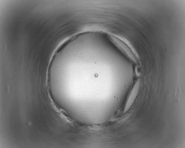 X0000063520815200602172212