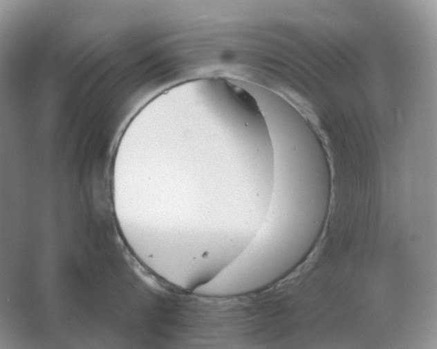 X0000063520816200602172212