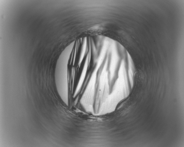 X0000063520818200602172211