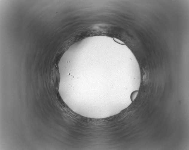 X0000063520819200602172212