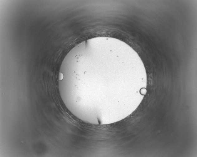 X0000063520820200602172212