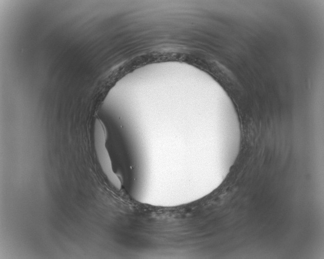 X0000063520821200602172212