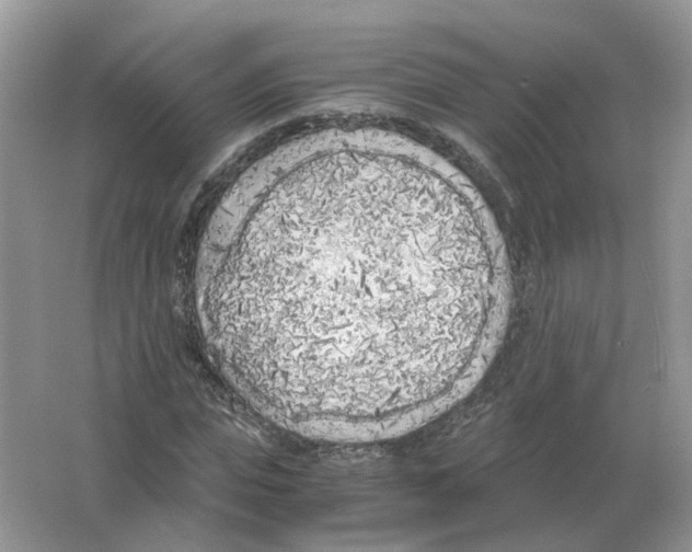 X0000063520823200602172212