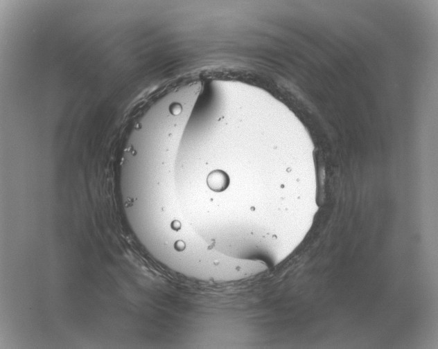 X0000063520824200602172212