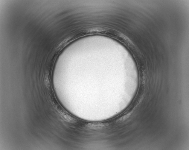 X0000063520825200602172212