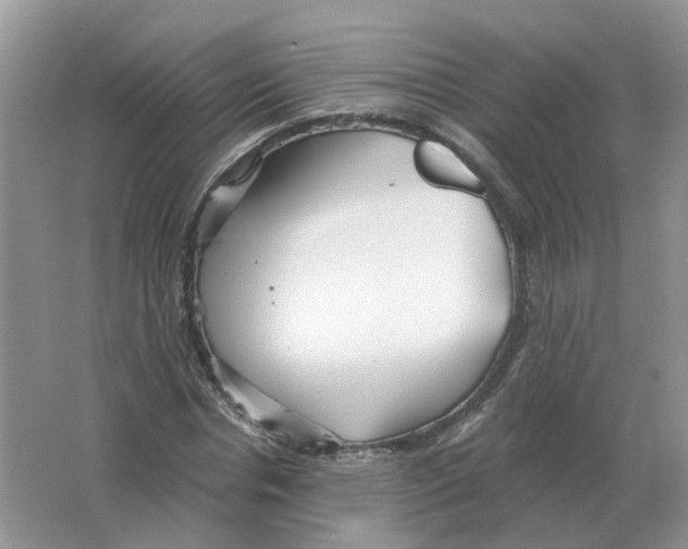 X0000063520826200602172212