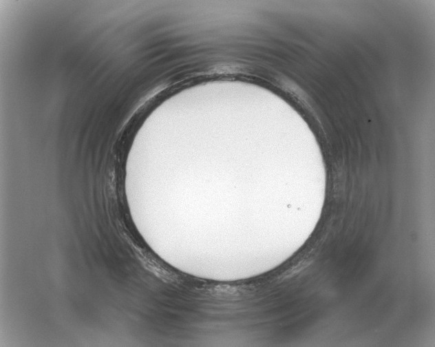 X0000063520827200602172212