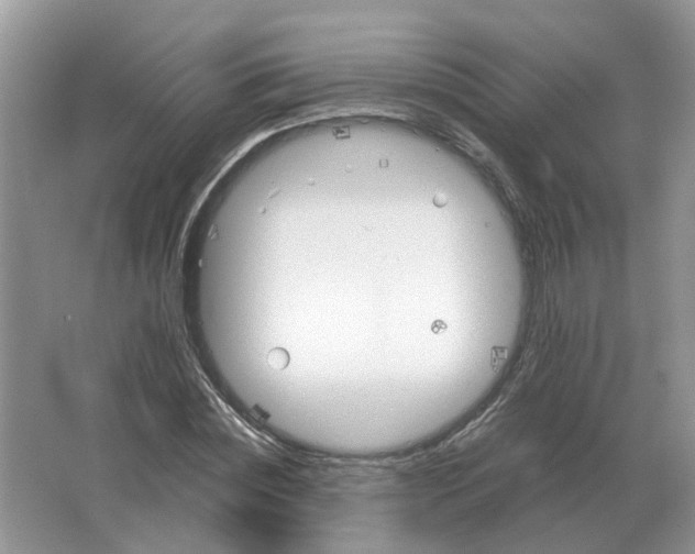 X0000063520828200602172212