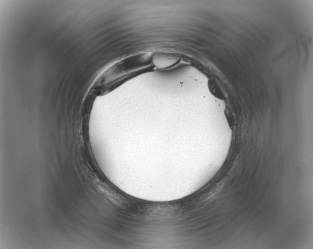 X0000063520830200602172212