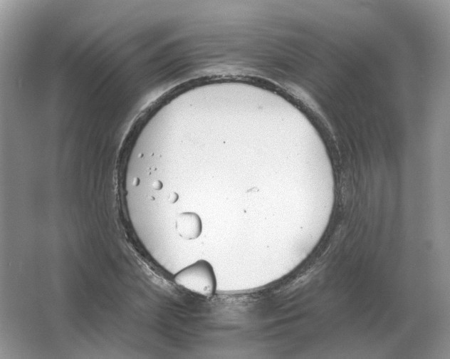 X0000063520831200602172212